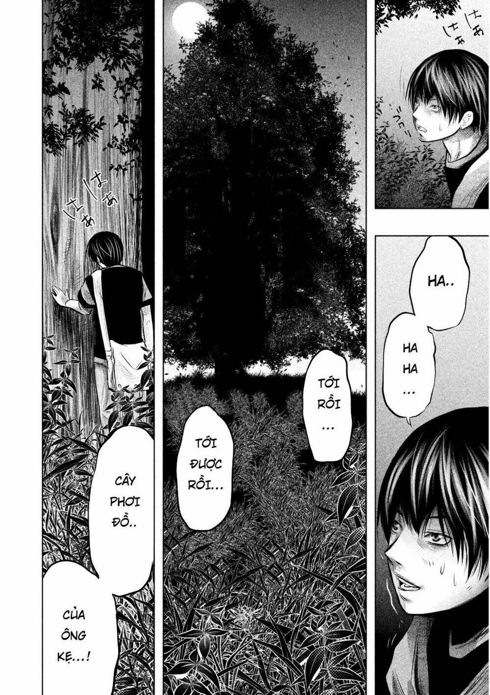 page_8.jpg