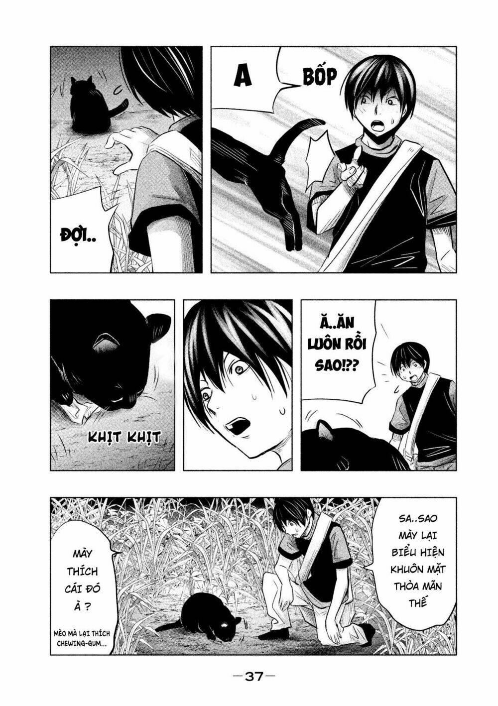 page_5.jpg