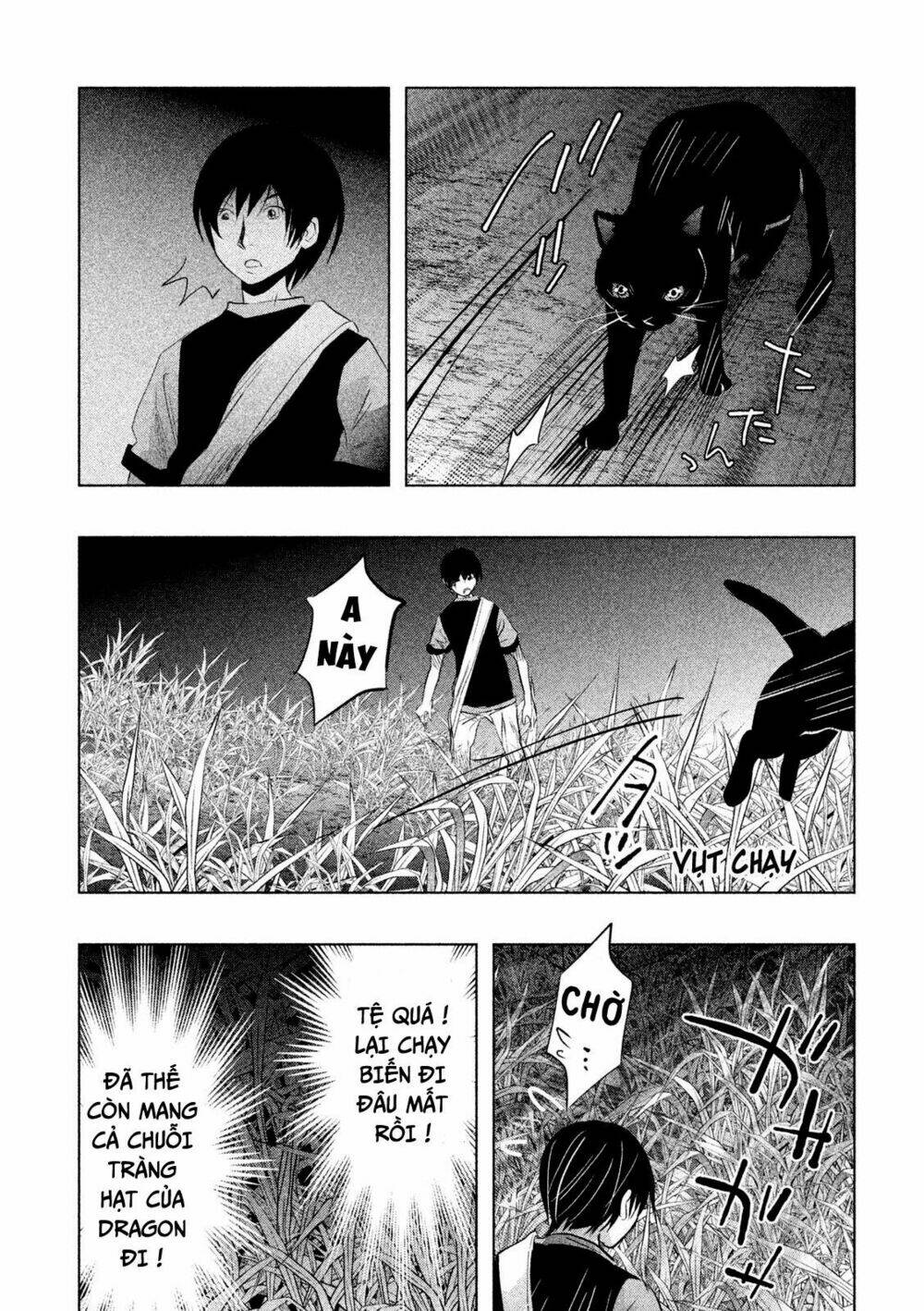 page_6.jpg