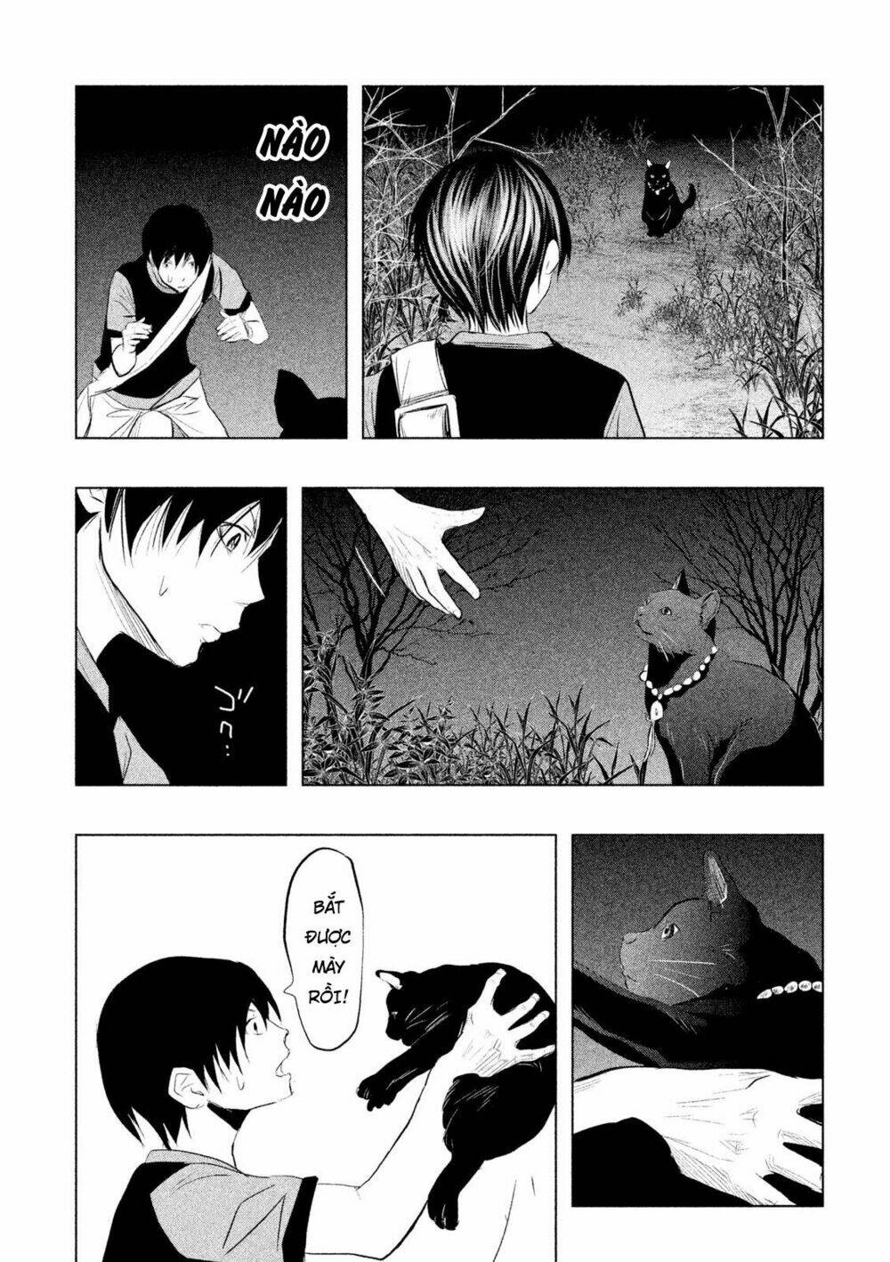 page_12.jpg
