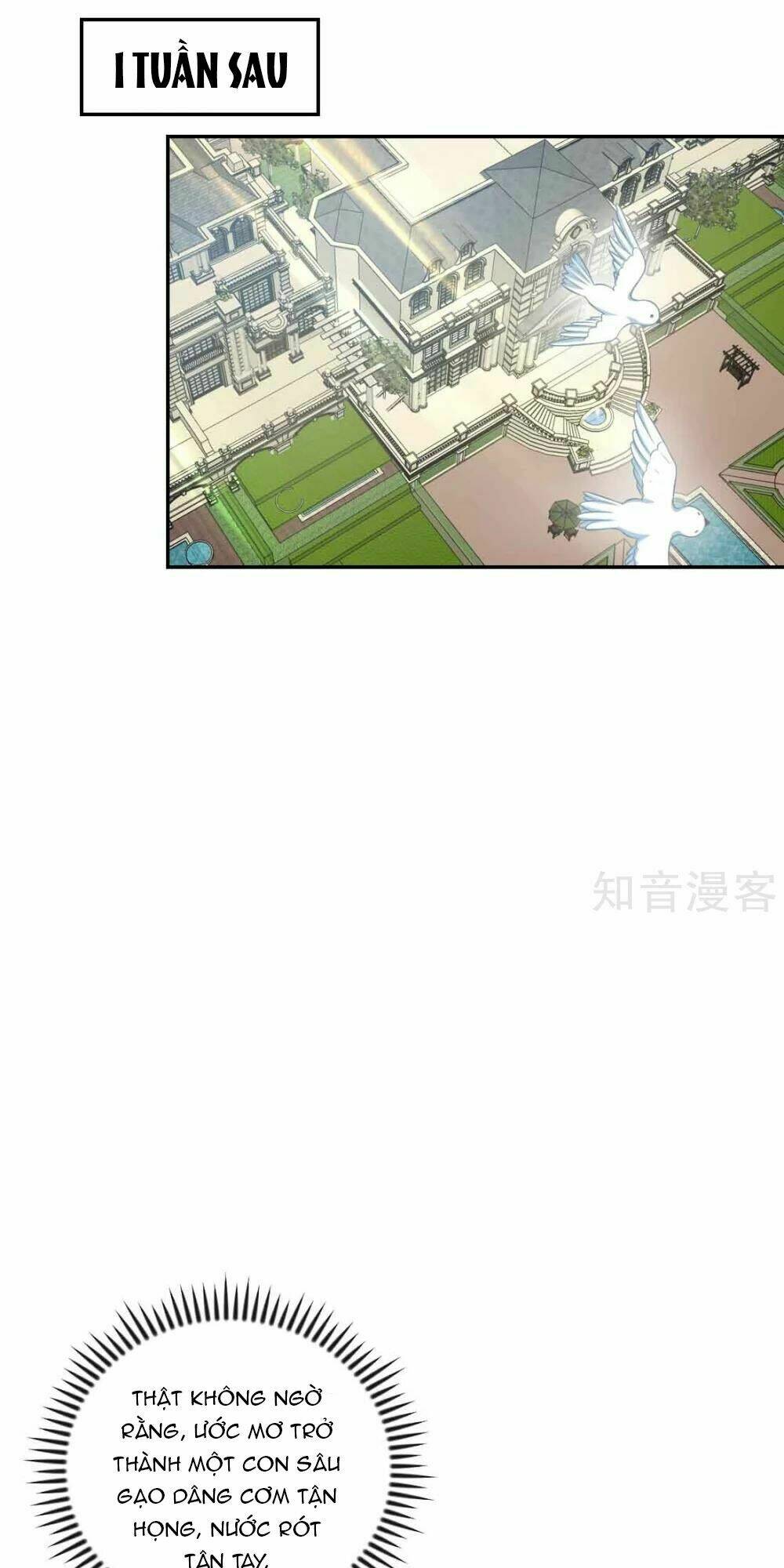 page_27.jpg