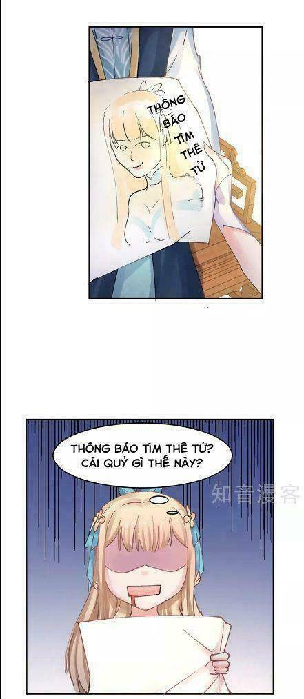 page_19.jpg