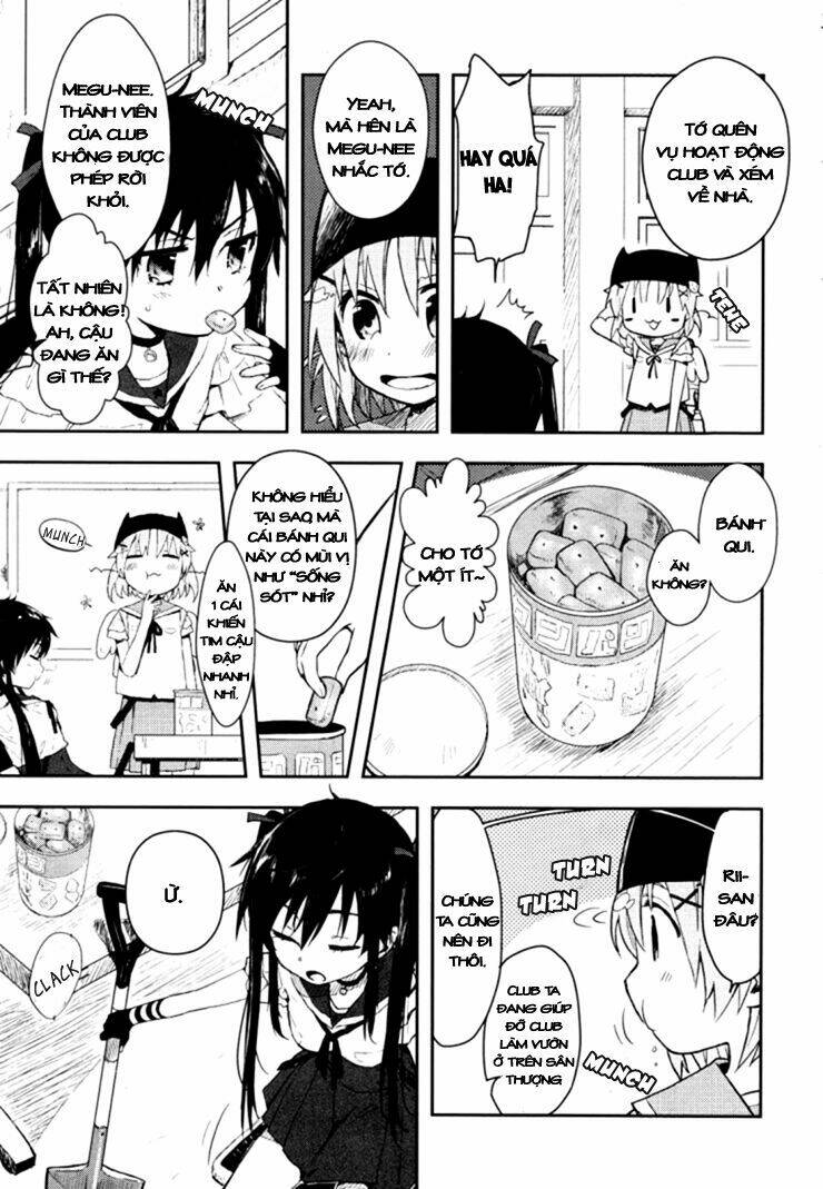 page_11.jpg