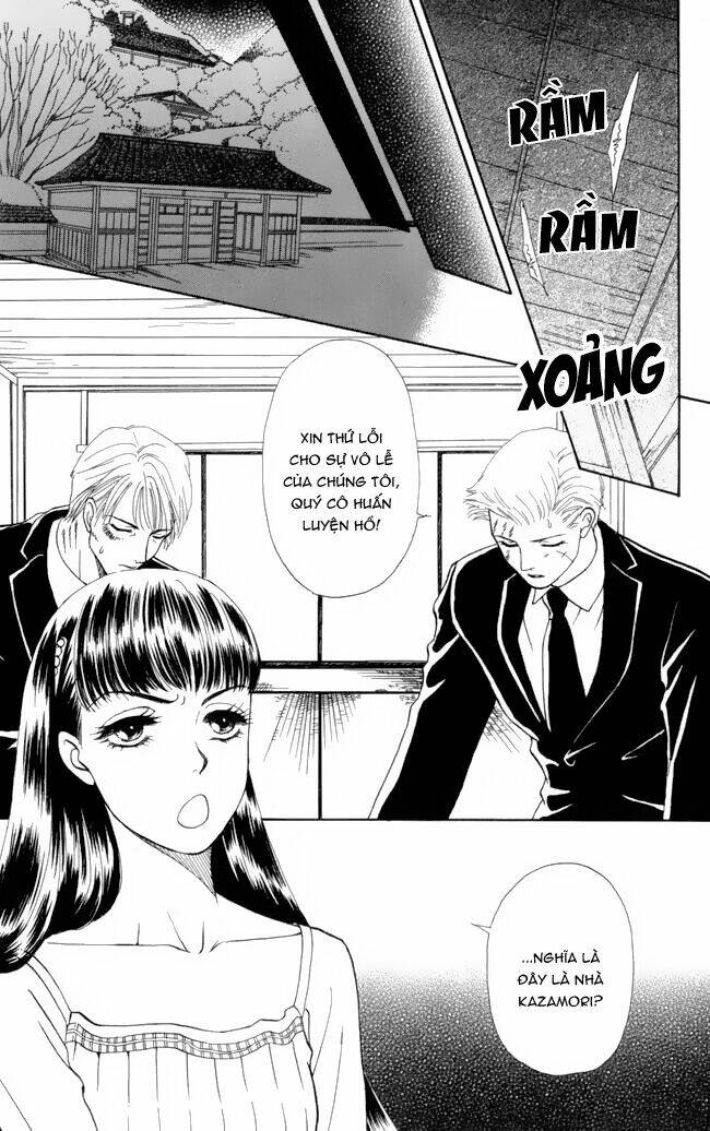 page_17.jpg