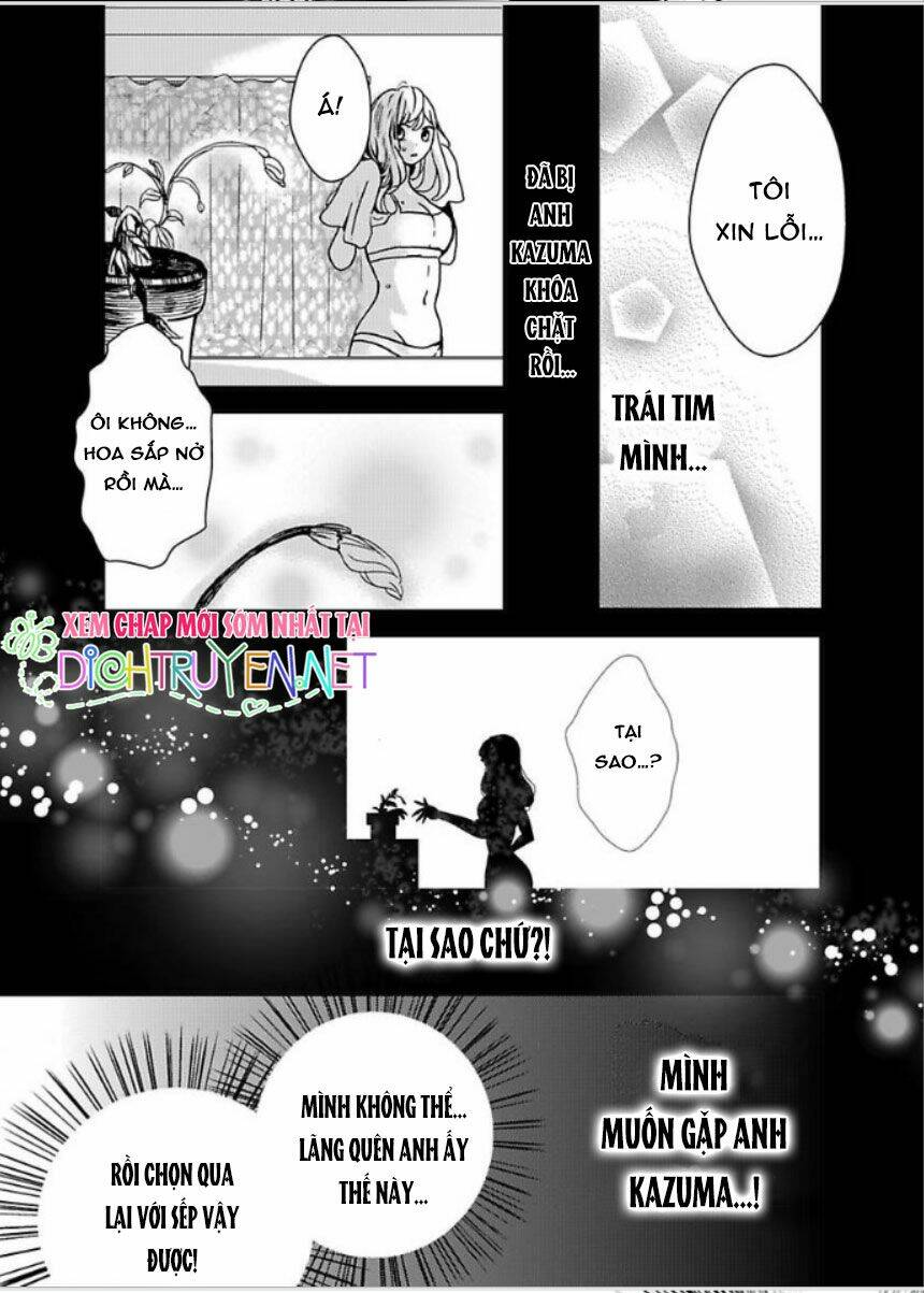 page_14.jpg