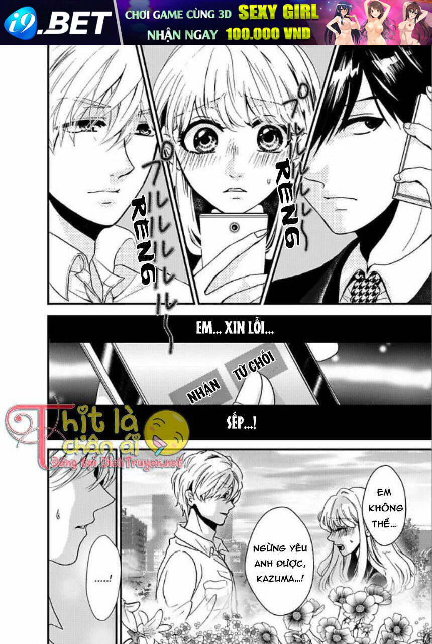 page_17.jpg