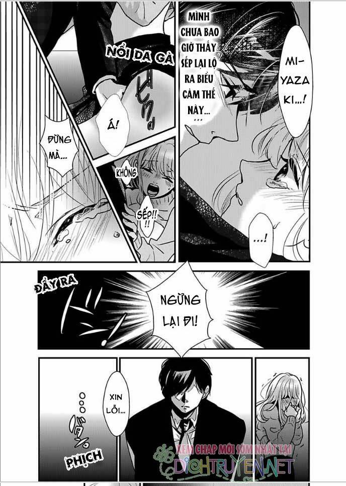 page_19.jpg