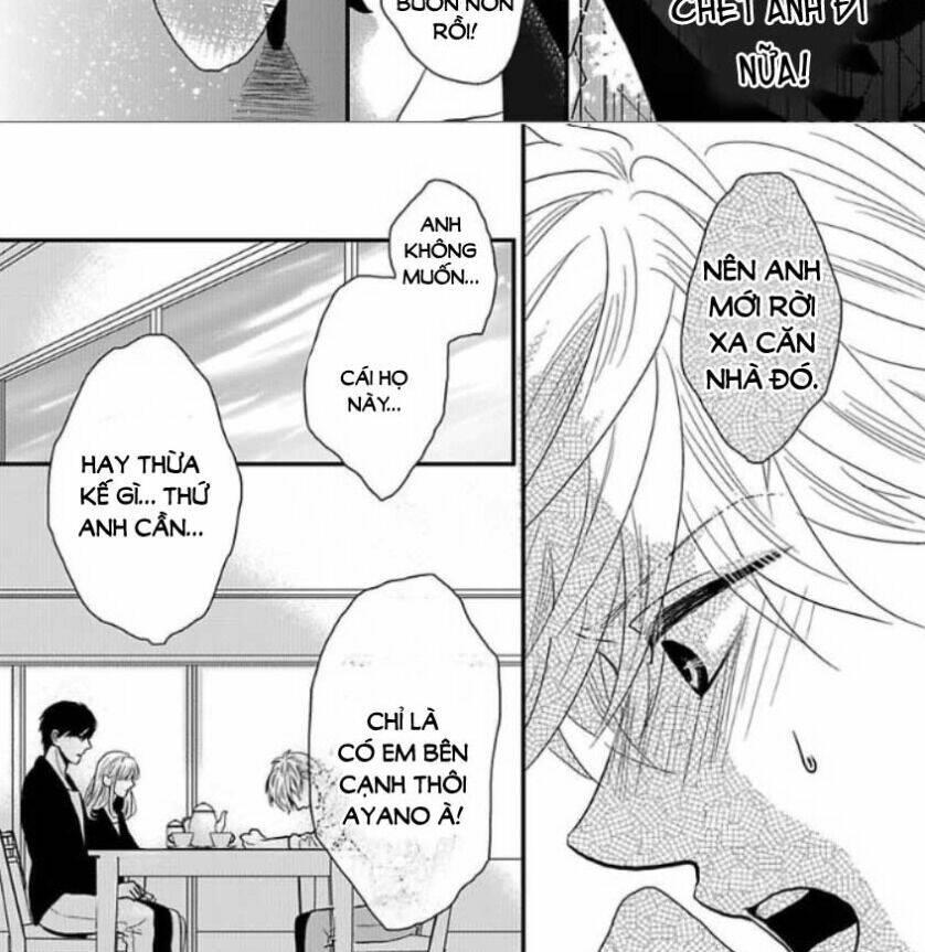 page_11.jpg