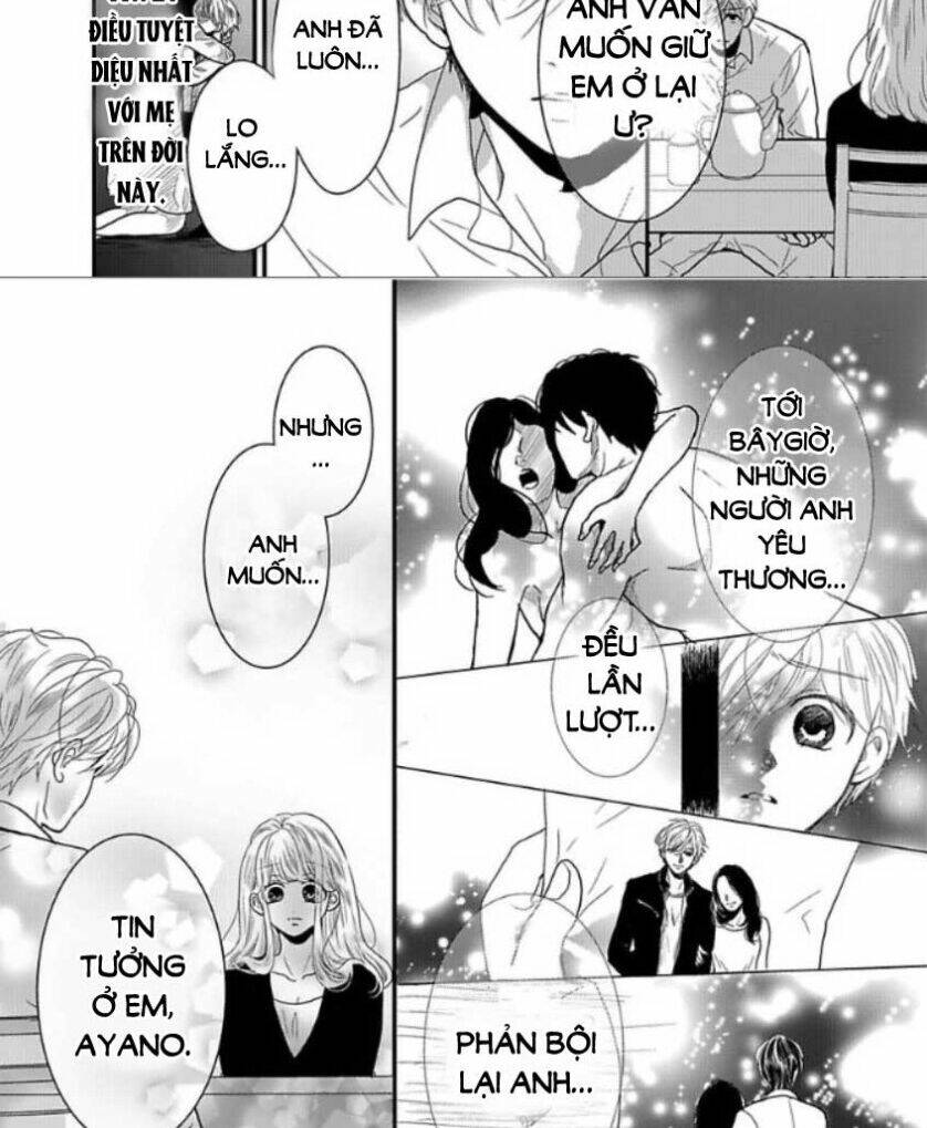page_16.jpg
