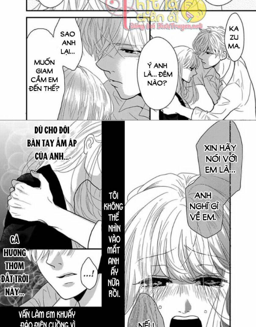 page_6.jpg