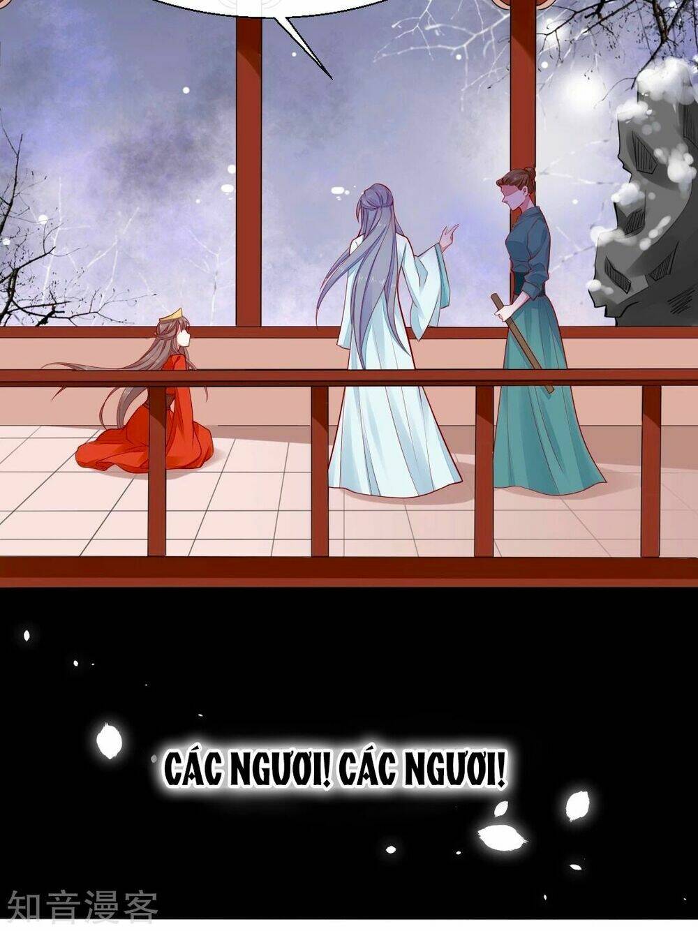 page_16.jpg