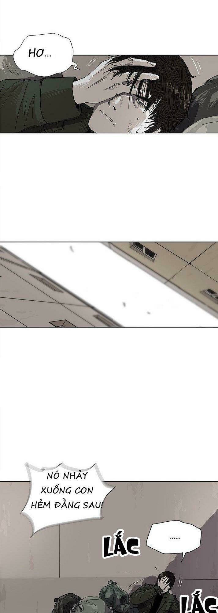 page_29.jpg