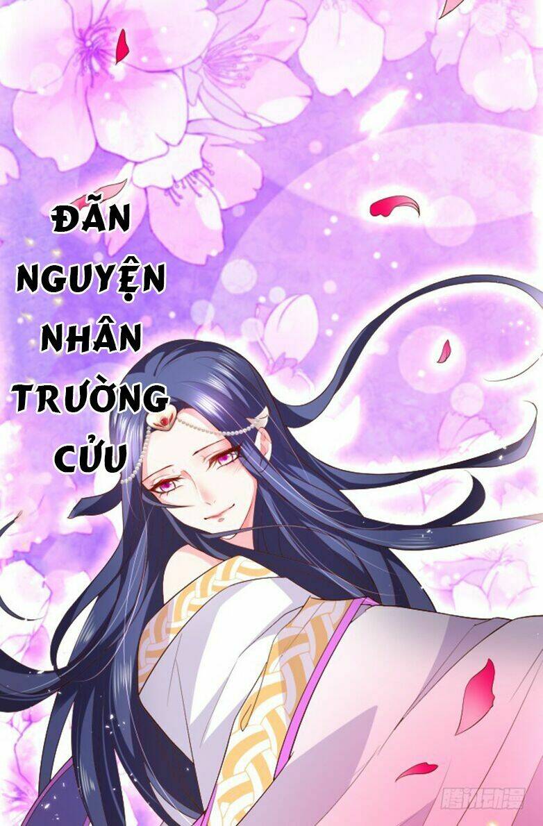 page_23.jpg