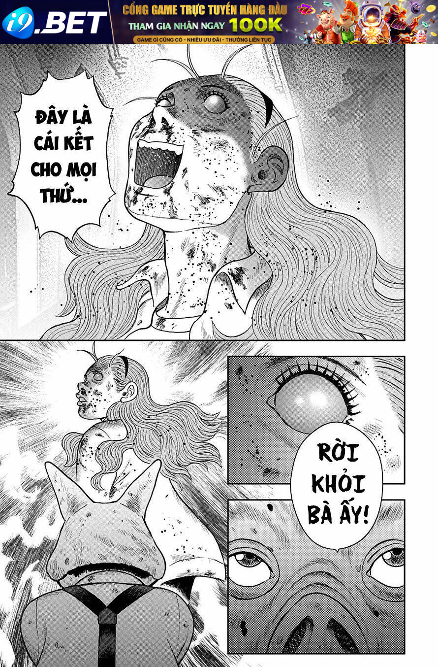 page_17.jpg