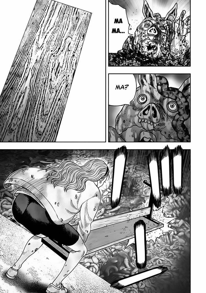 page_17.jpg