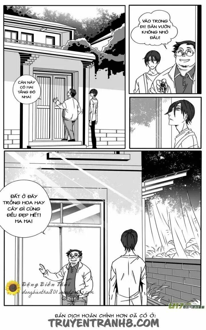 page_19.jpg