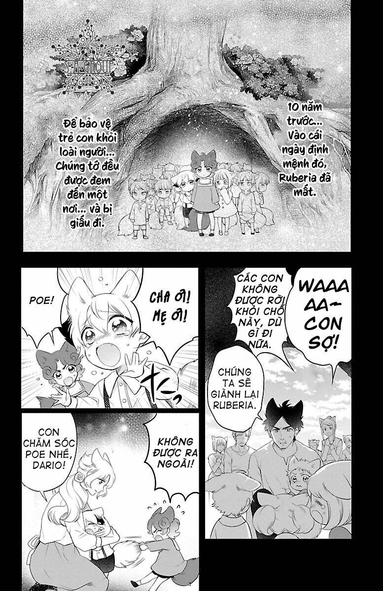 page_28.jpg