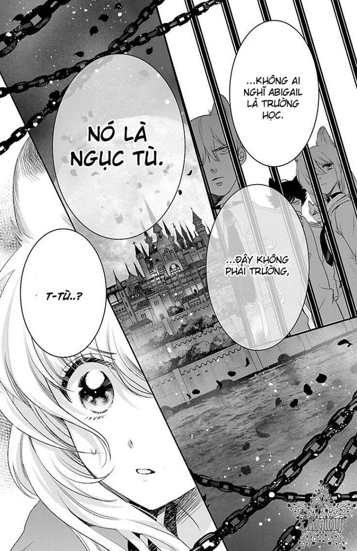 page_20.jpg