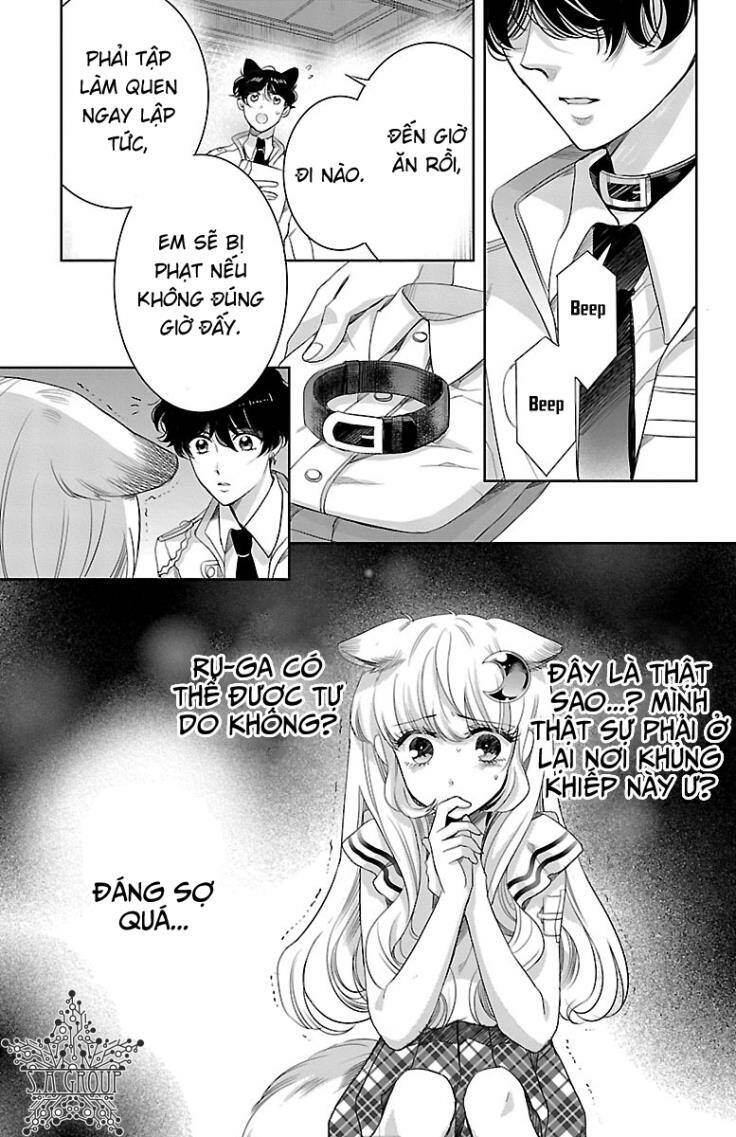 page_27.jpg