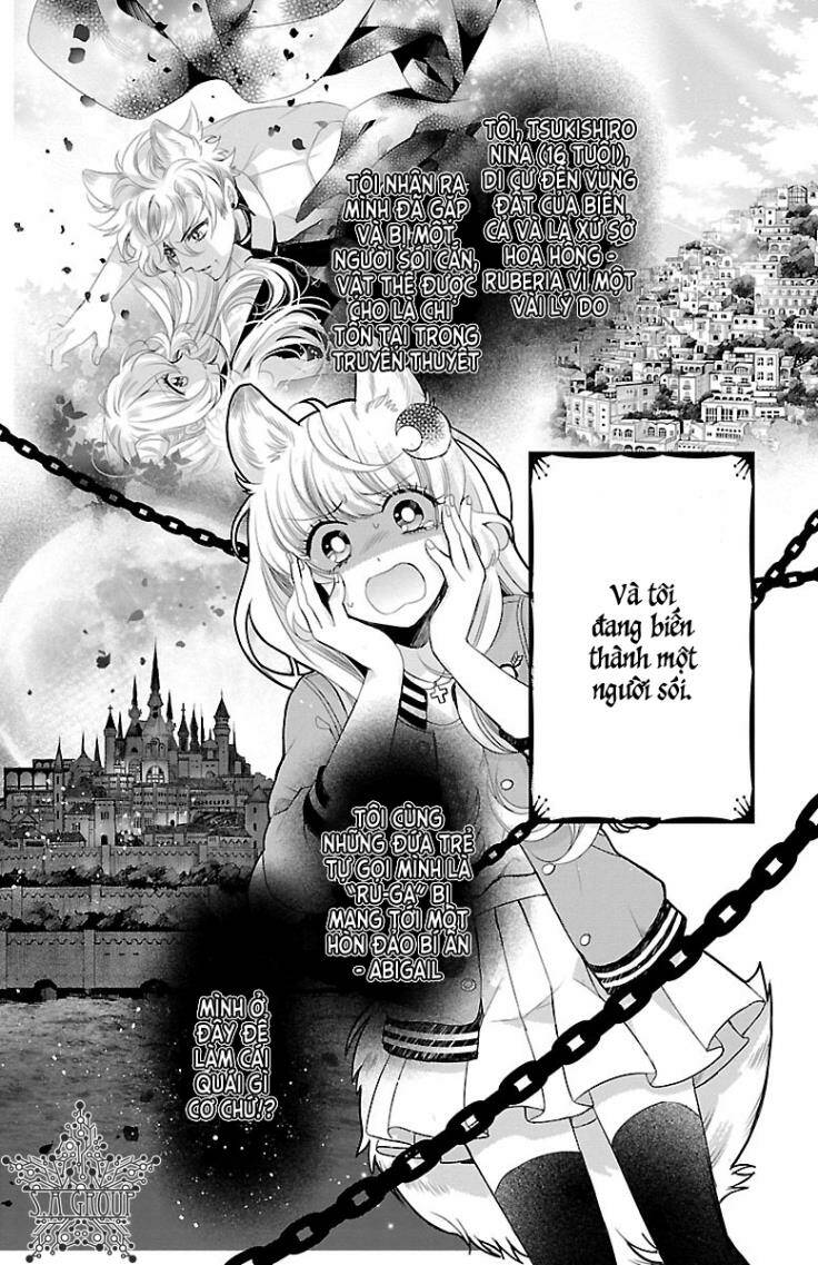 page_5.jpg