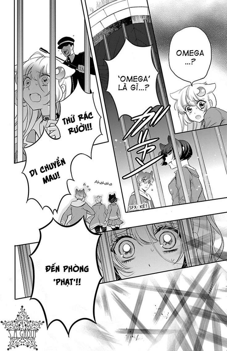 page_21.jpg