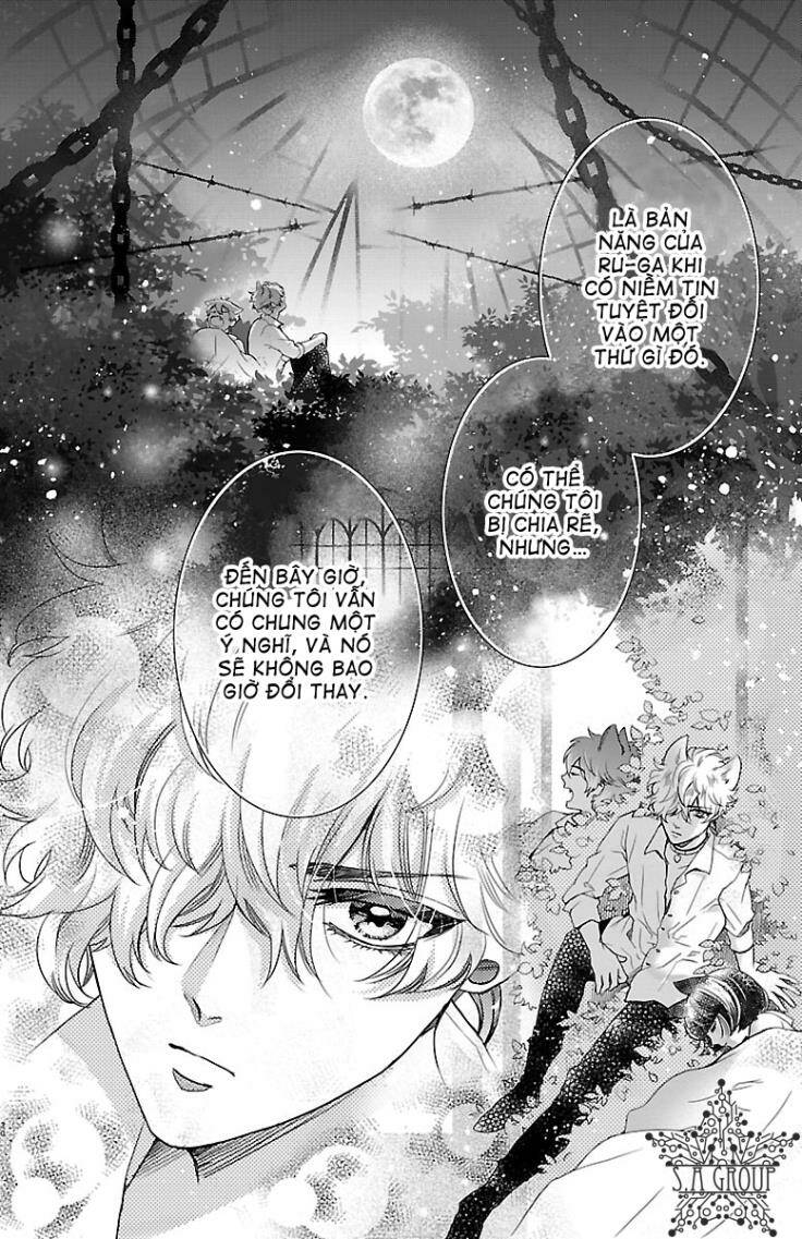 page_33.jpg