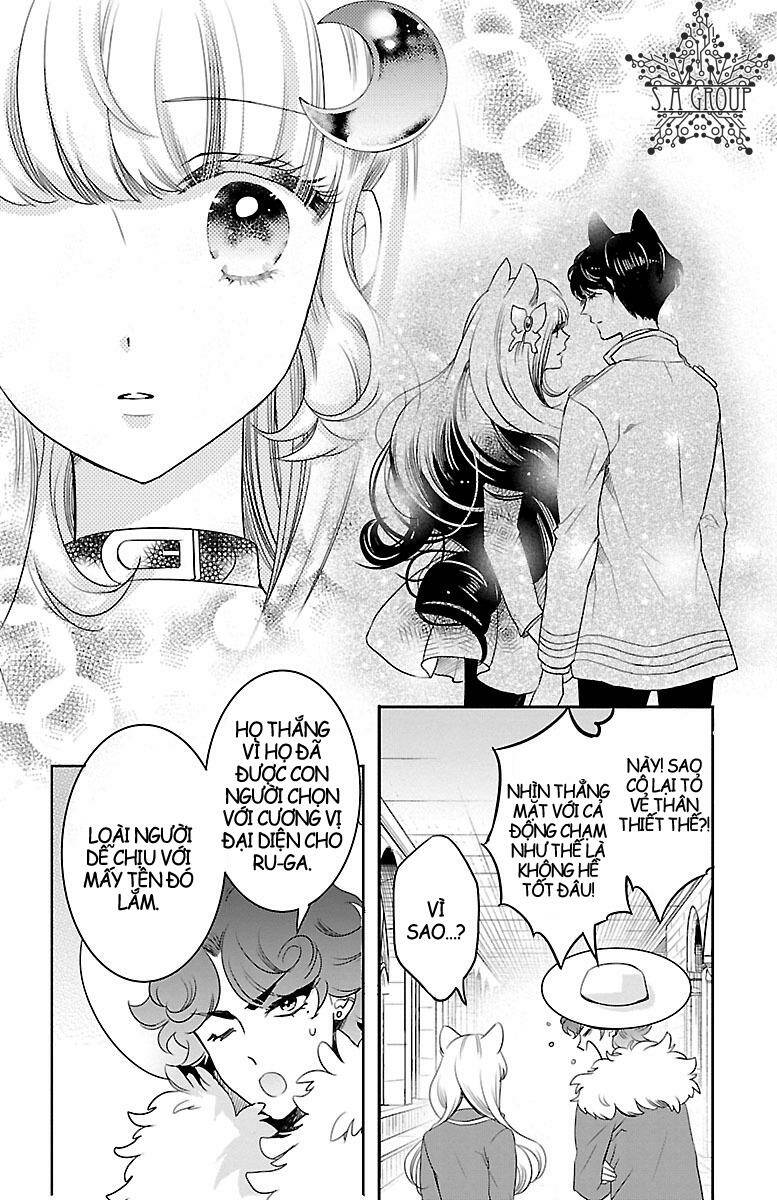 page_20.jpg