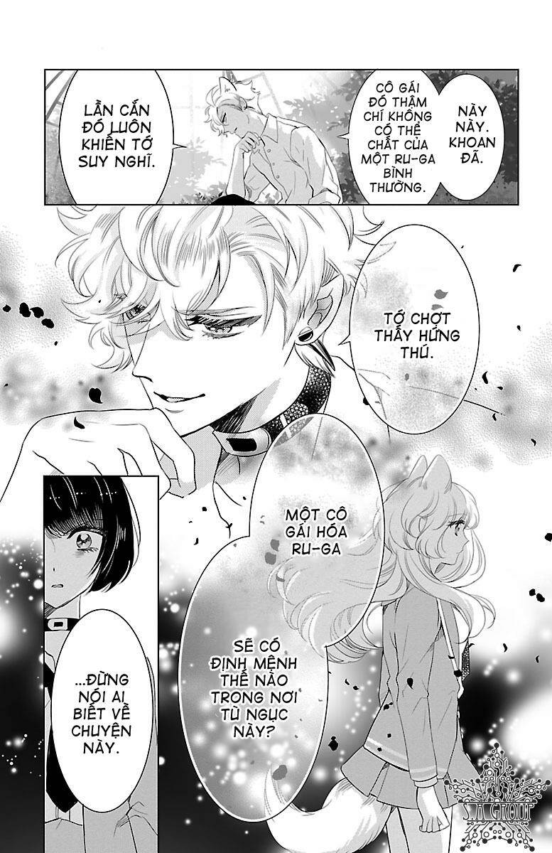 page_28.jpg
