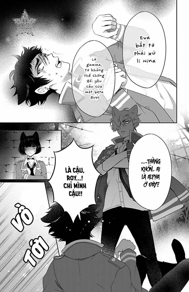 page_23.jpg