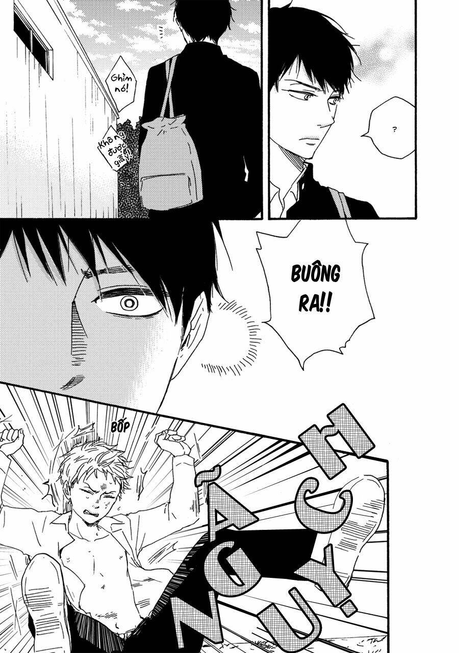 page_29.jpg