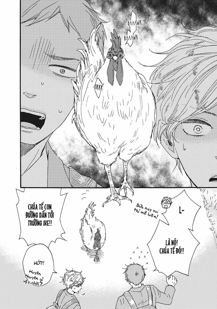 page_22.jpg