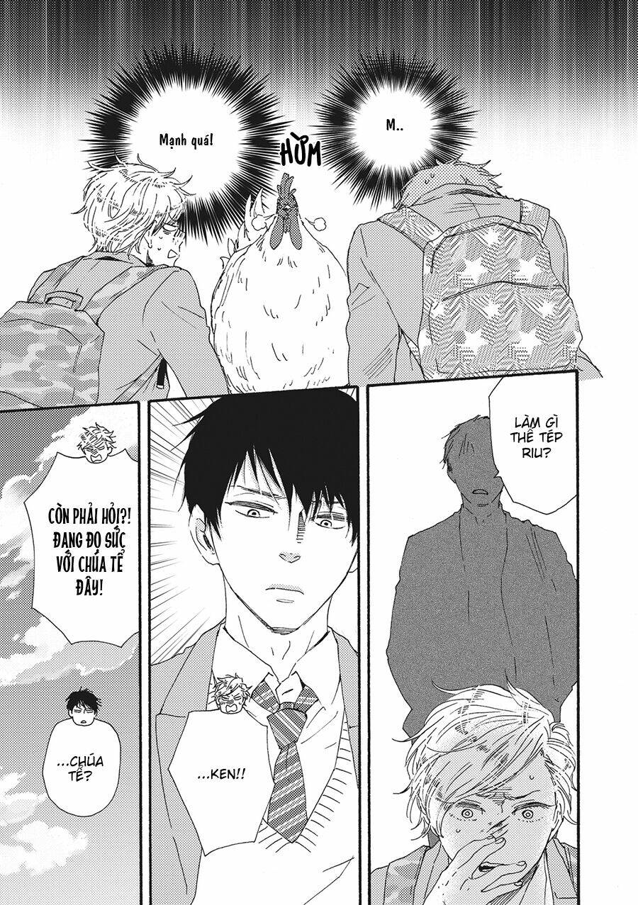 page_25.jpg