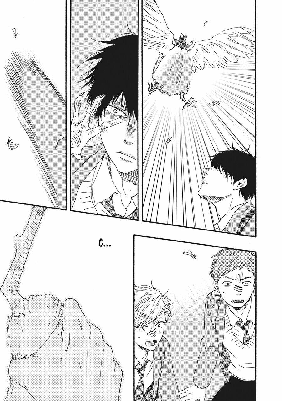 page_27.jpg