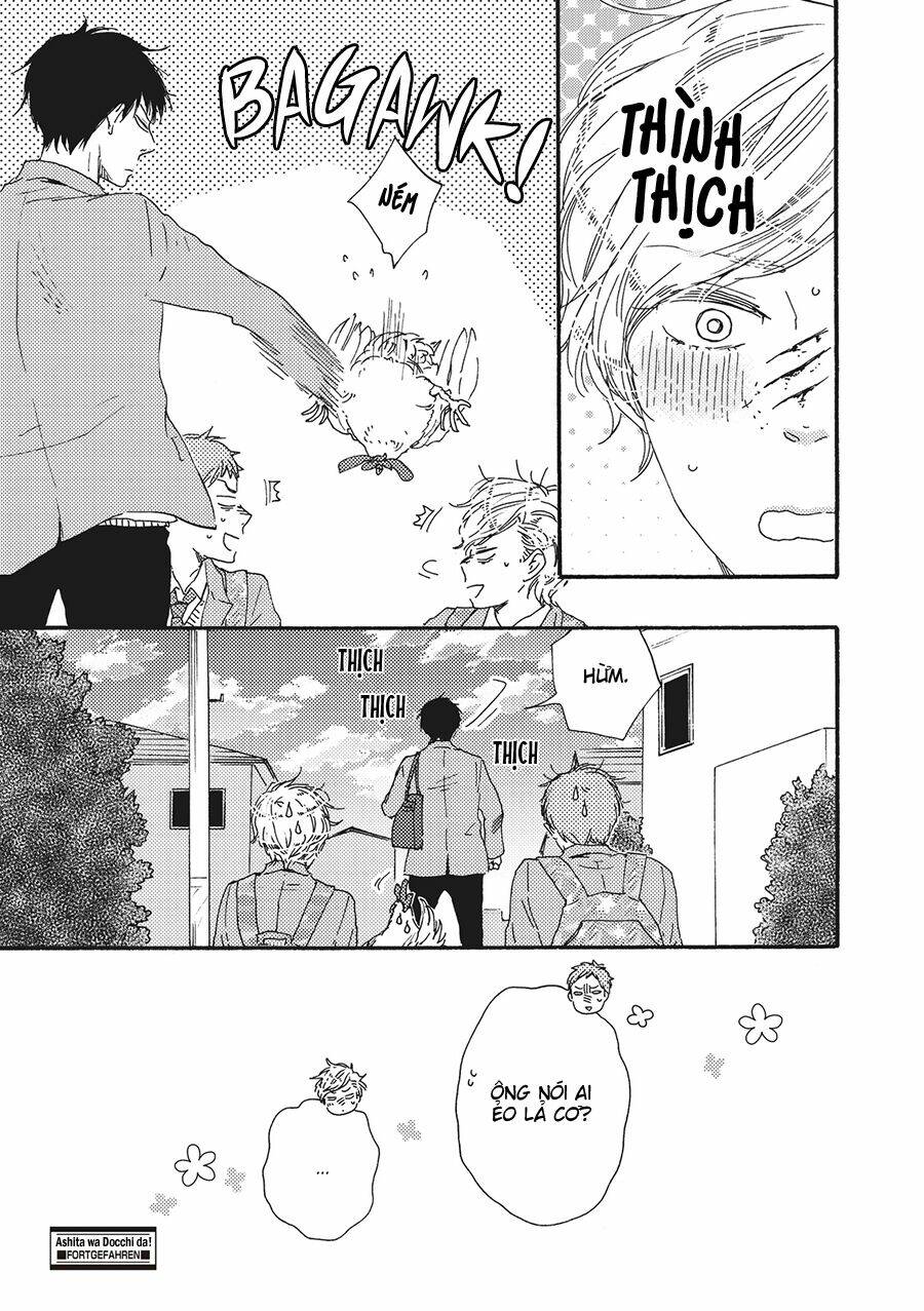 page_29.jpg