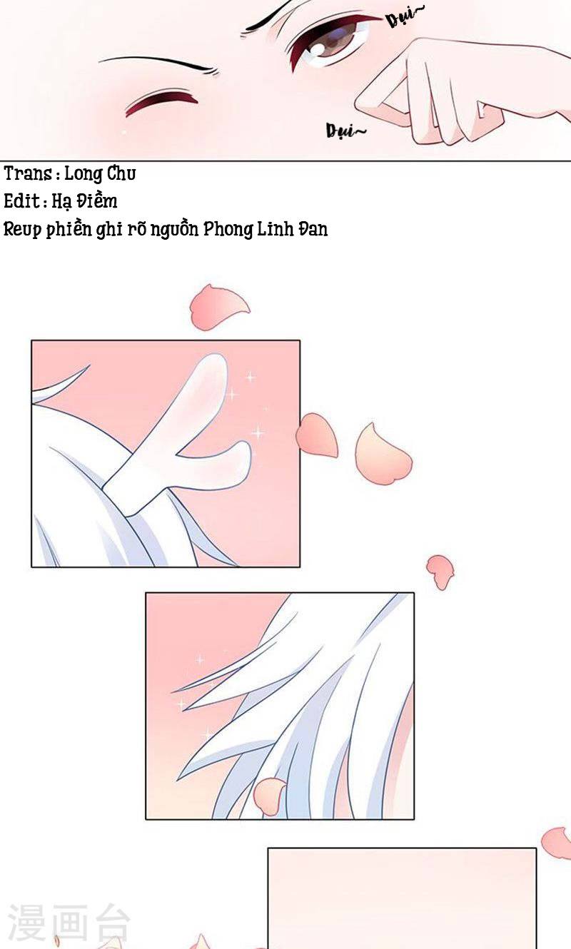 page_37.jpg