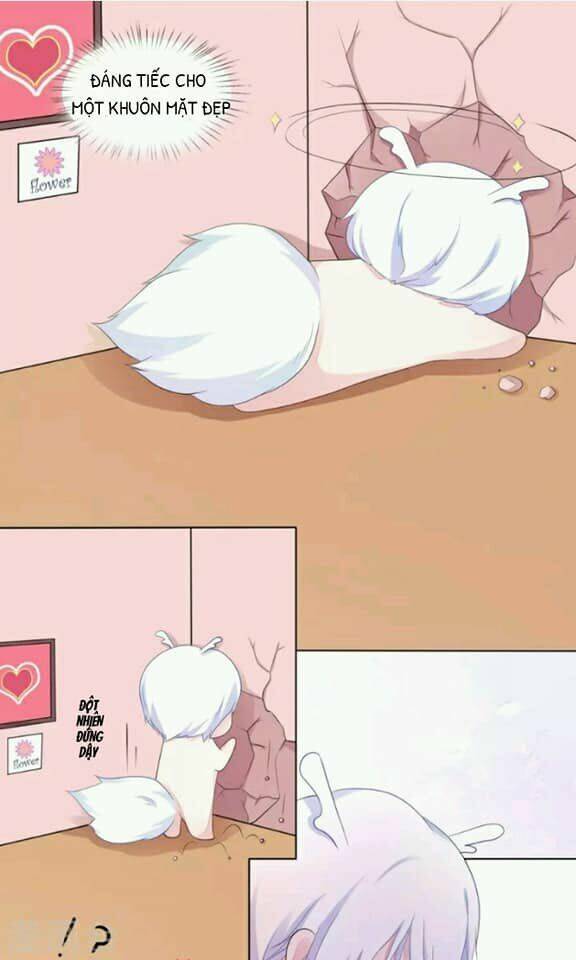 page_11.jpg