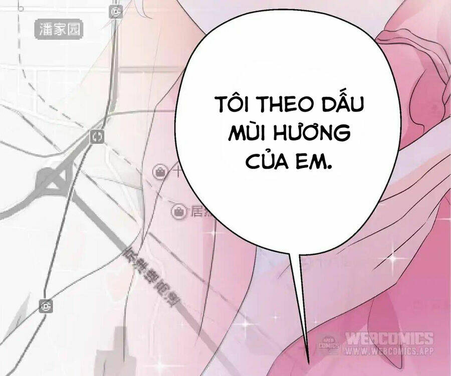 page_23.jpg