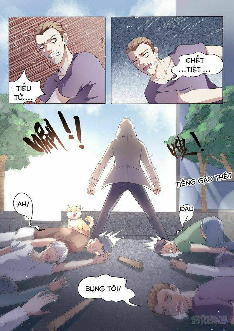 page_11.jpg