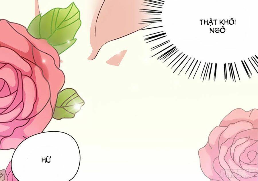 page_14.jpg