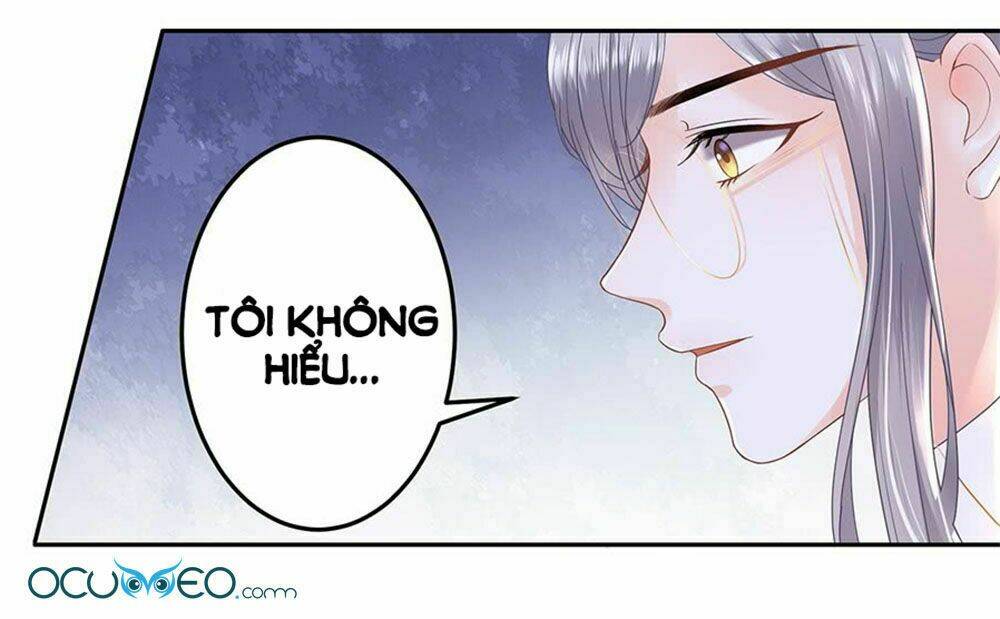 page_28.jpg
