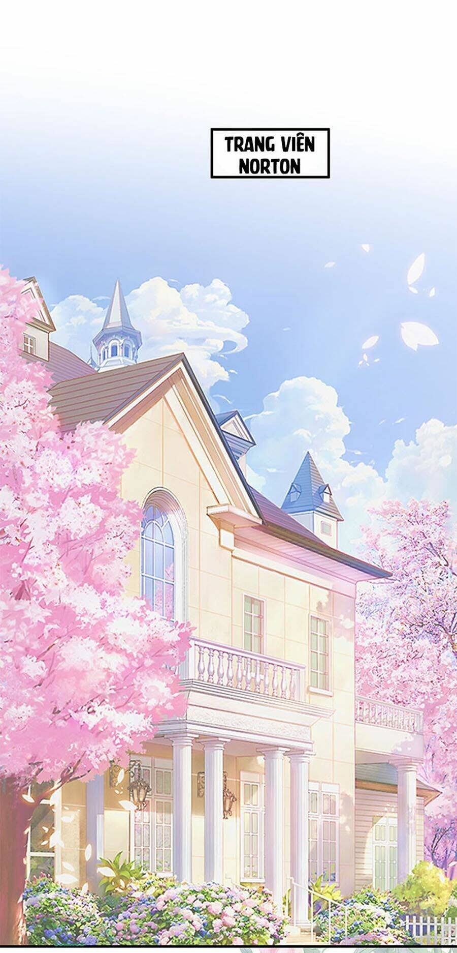 page_18.jpg