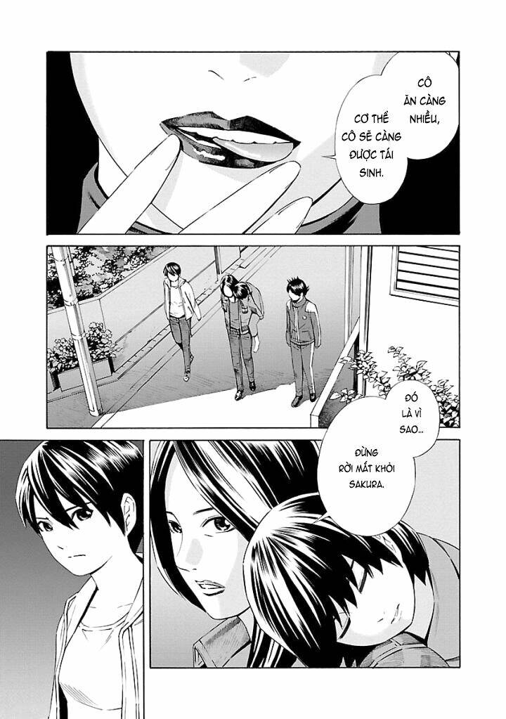 page_29.jpg