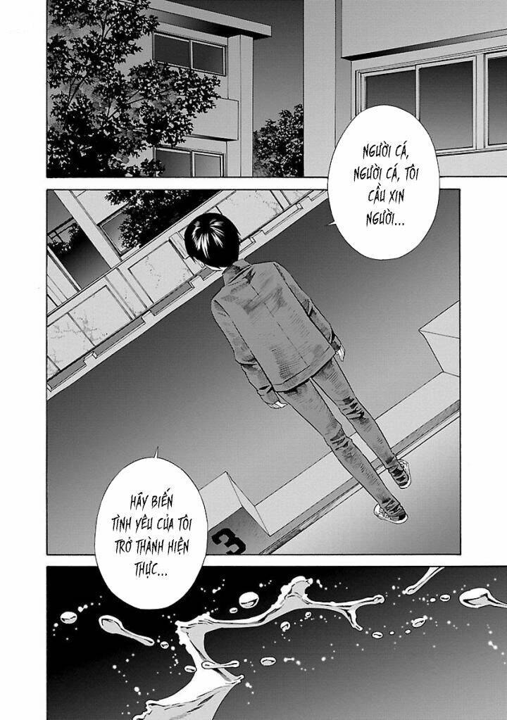 page_16.jpg