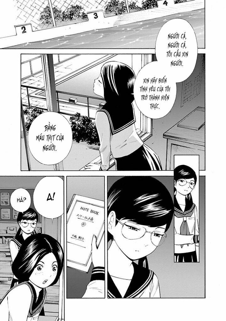 page_17.jpg