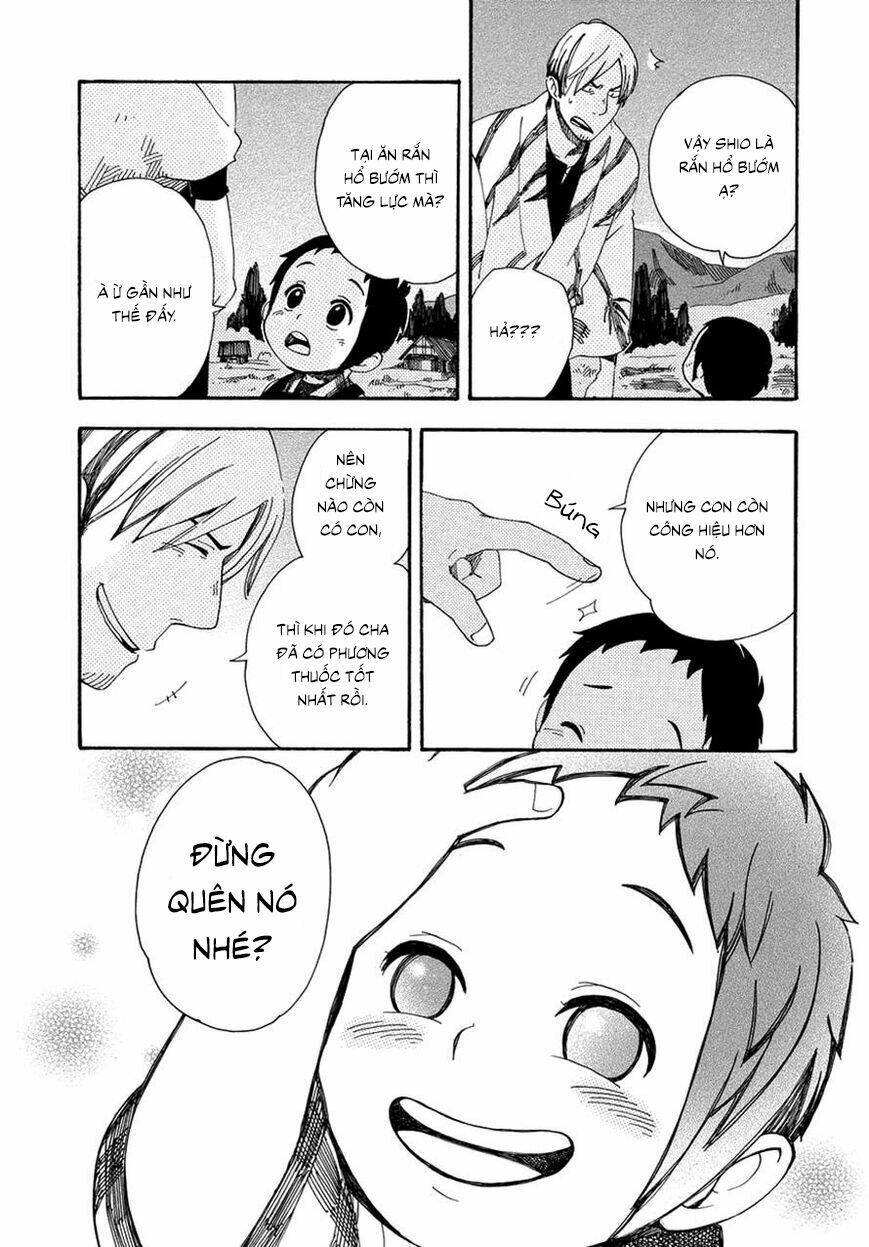 page_31.jpg