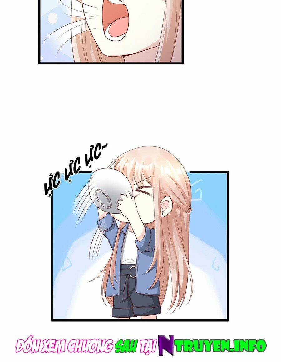 page_19.jpg