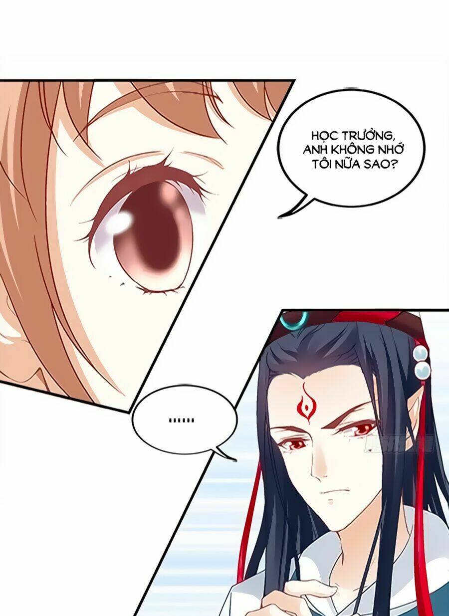 page_20.jpg