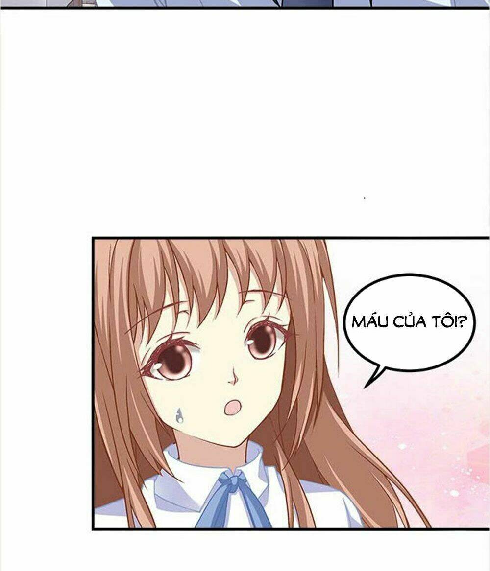 page_20.jpg