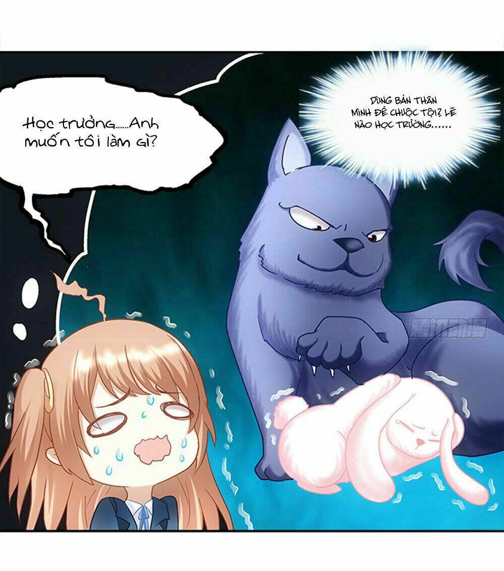 page_29.jpg