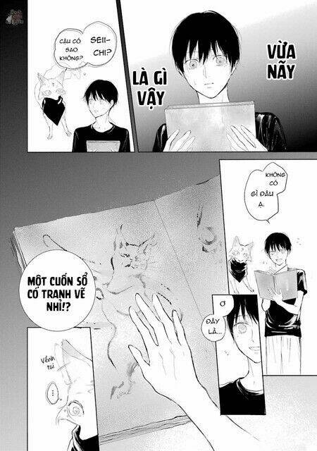 page_19.jpg